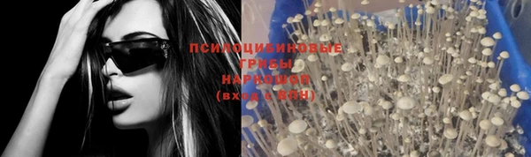 дурь Алексин