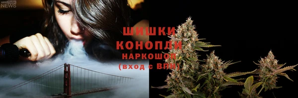 дмт Россошь