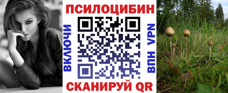 где найти   Покров  Псилоцибиновые грибы Psilocybine cubensis 